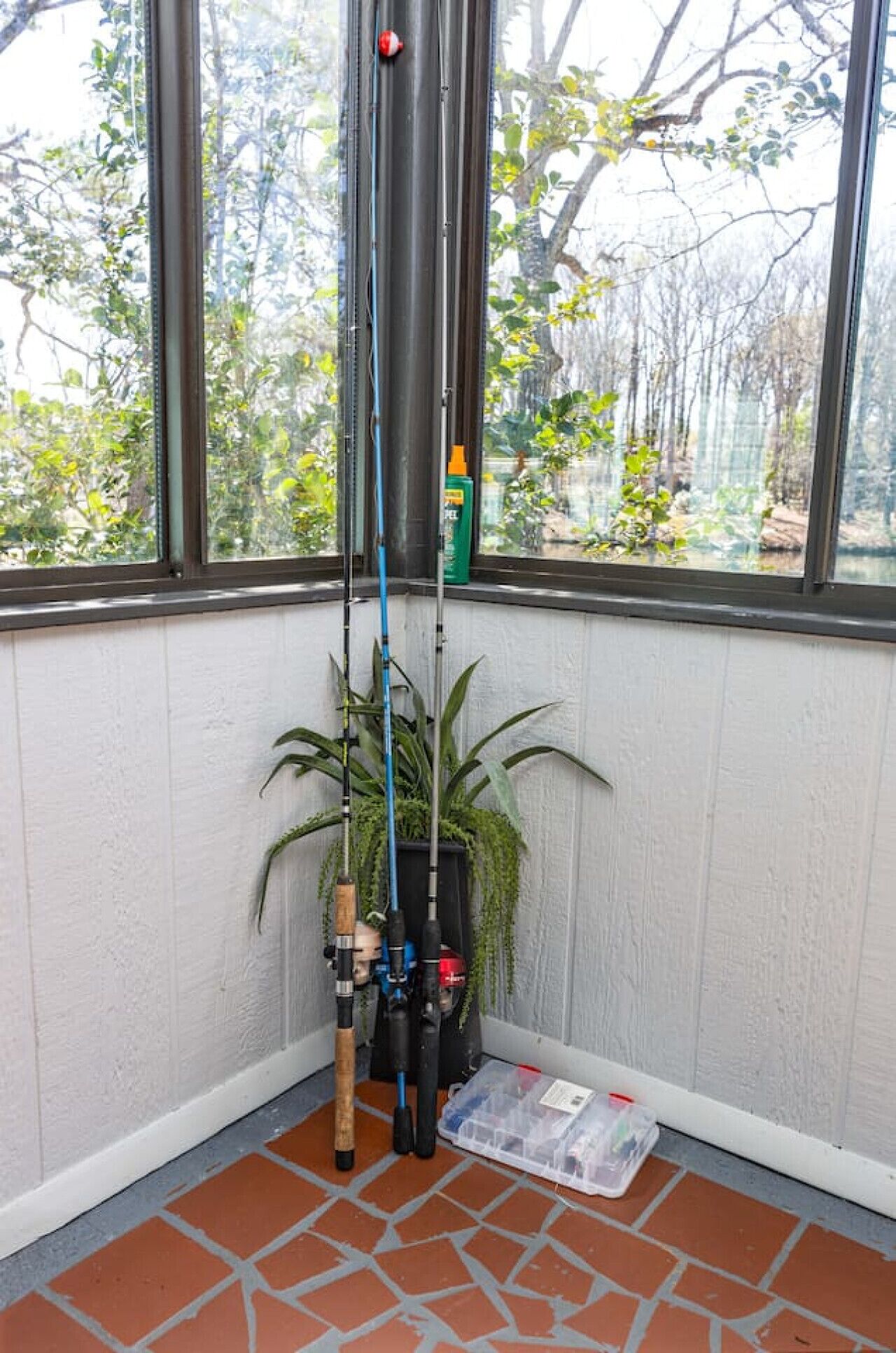 A corner of a room with a fishing rod rack, a potted plant, and a plastic storage box.