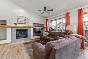 Televisio, takka, DVD-soitin, kirjoja