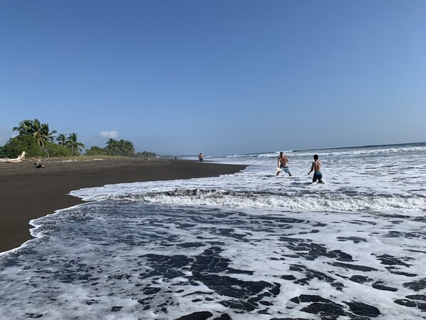 Plage à proximité, chaise longue, serviettes de plage