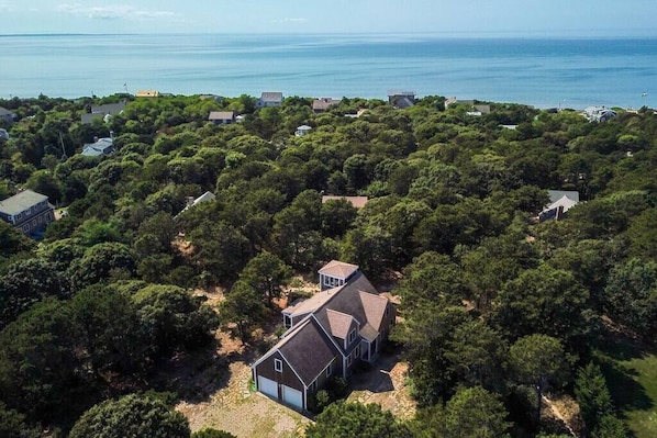 An aerial view of a residential area with houses surrounded by dense trees and a view of the ocean.
