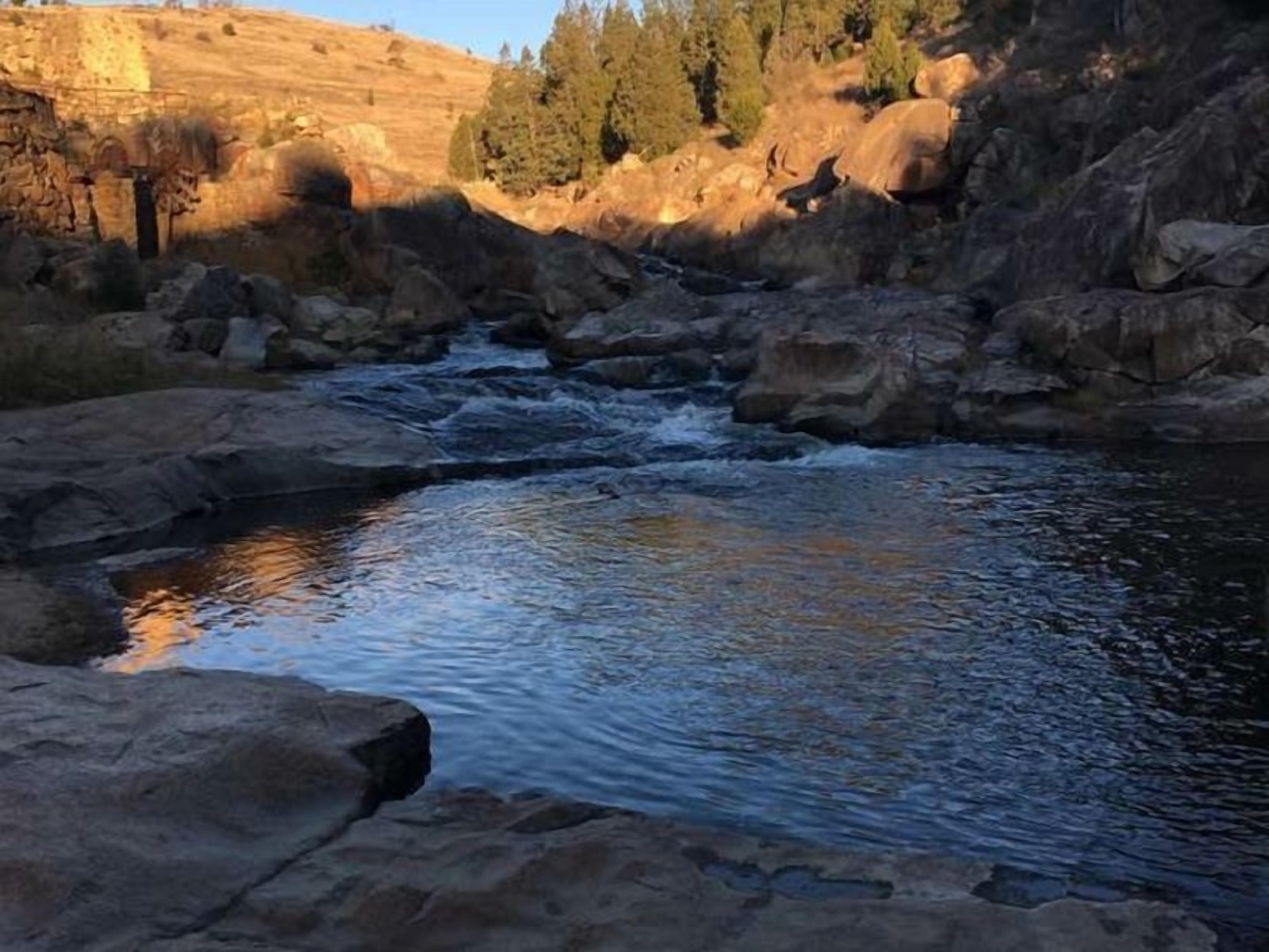 Snow Gum Cottage - Talbingo experience — image 8