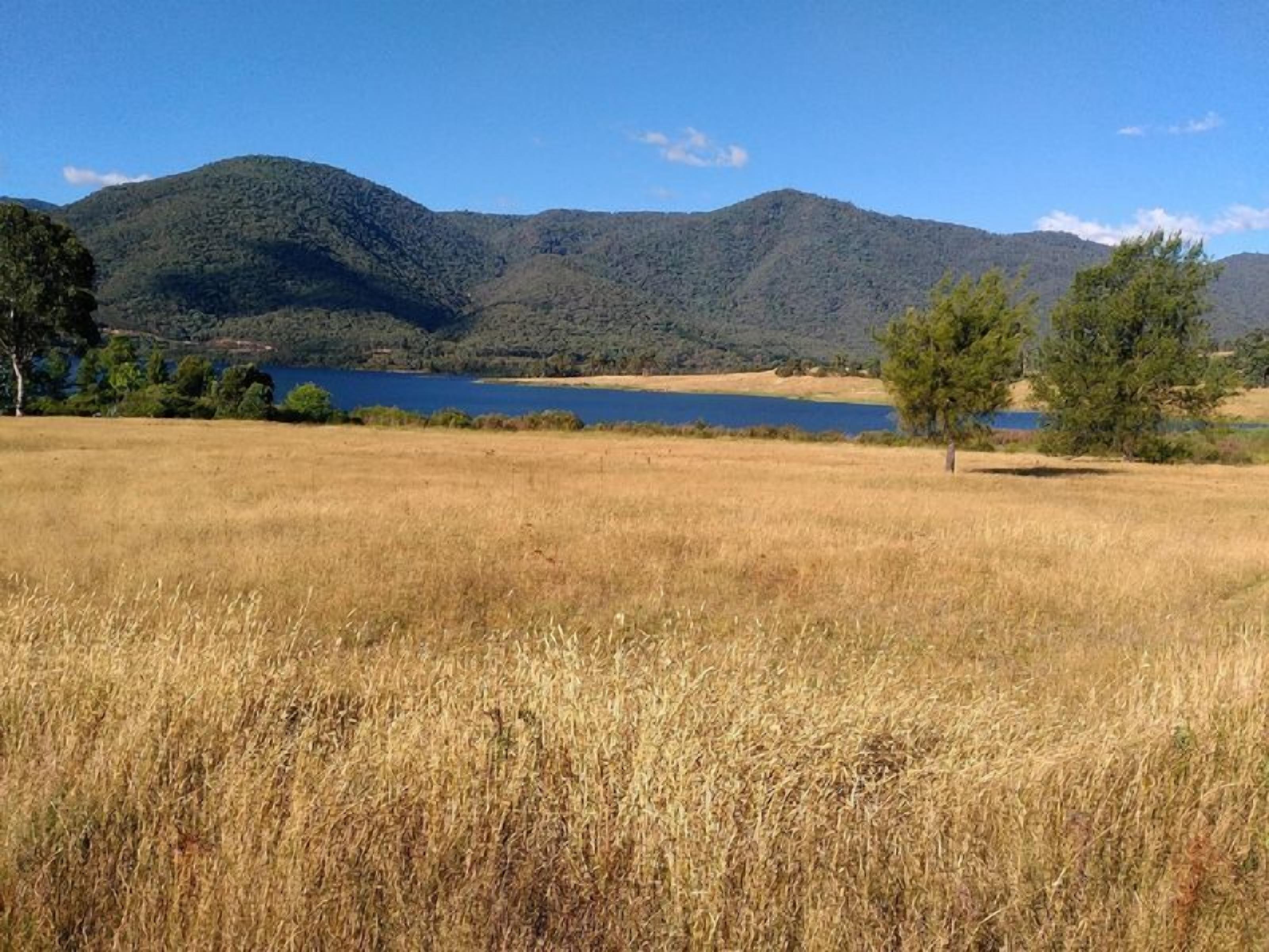 Snow Gum Cottage - Talbingo experience — image 4