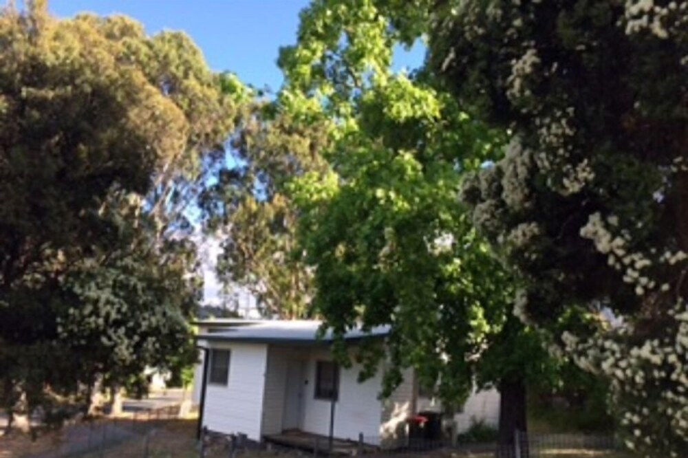 Snow Gum Cottage - Talbingo experience