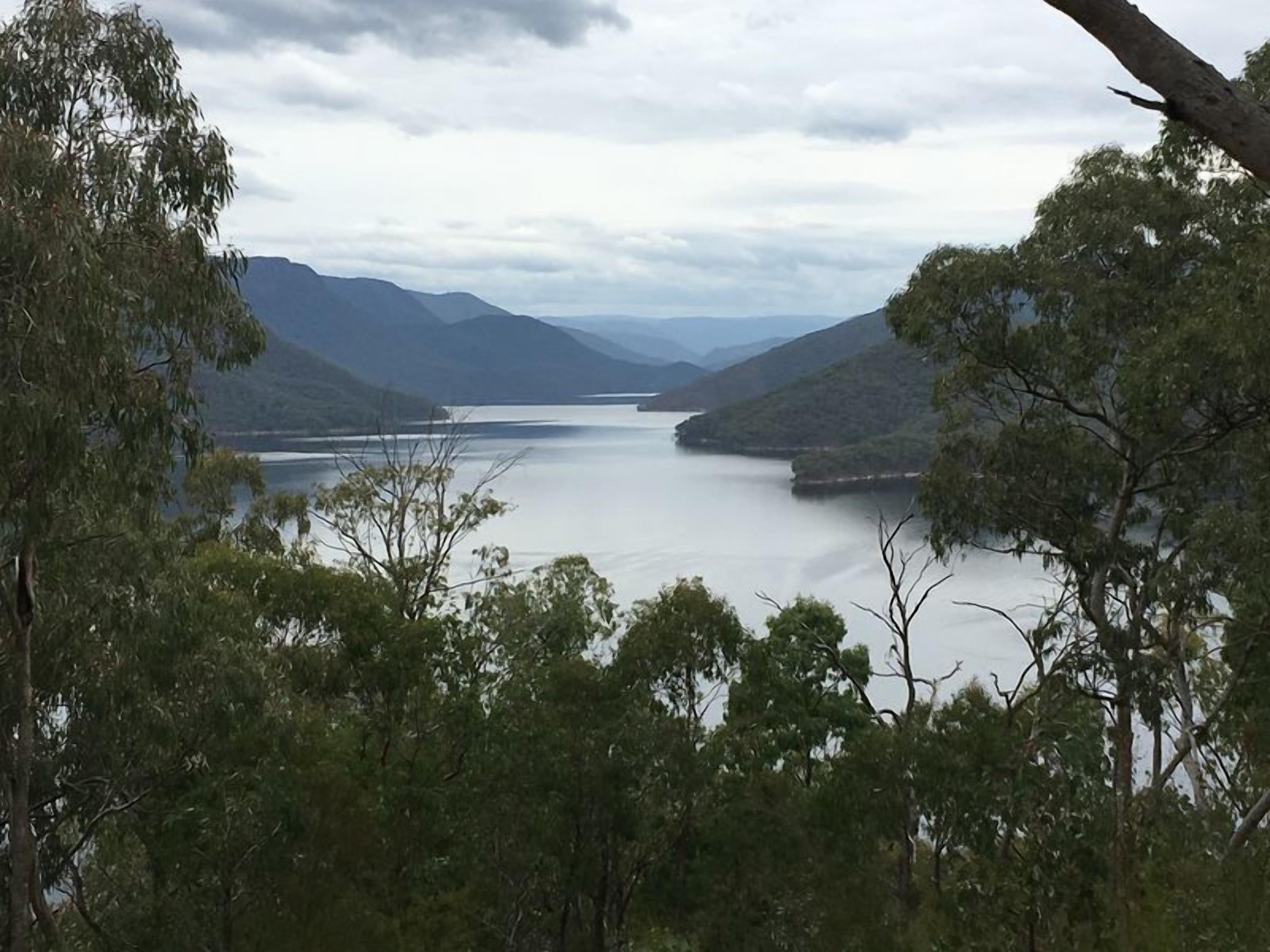 Snow Gum Cottage - Talbingo experience — image 28