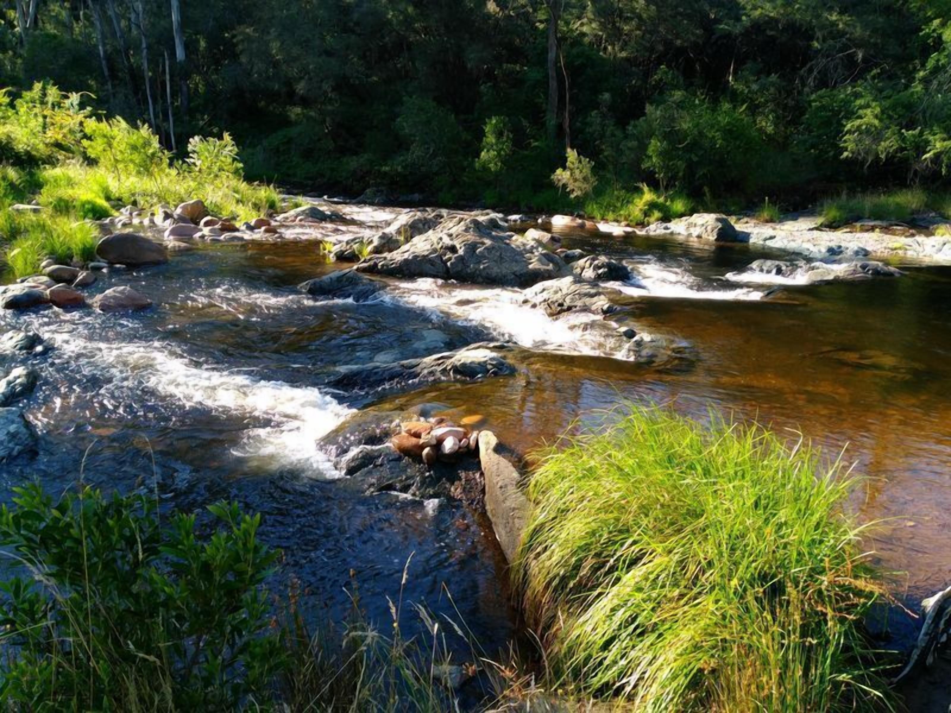 Snow Gum Cottage - Talbingo experience — image 2