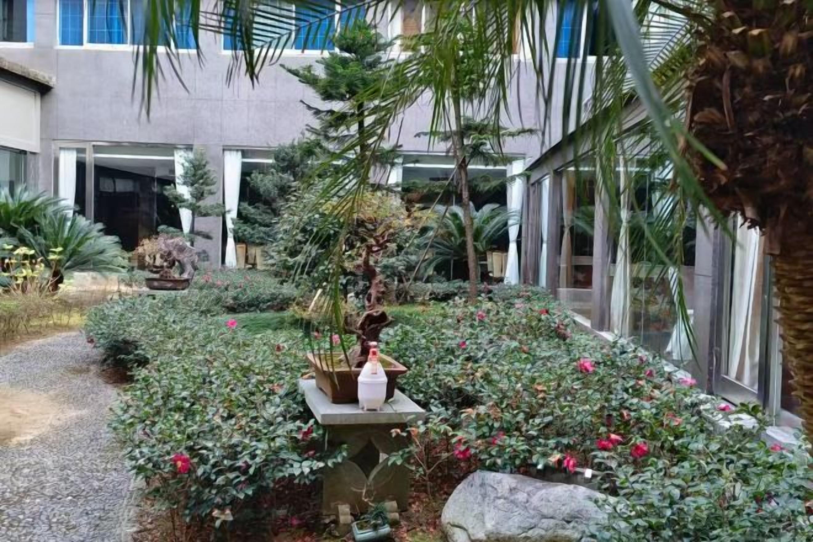 Un patio con diversas plantas y una fuente de piedra.