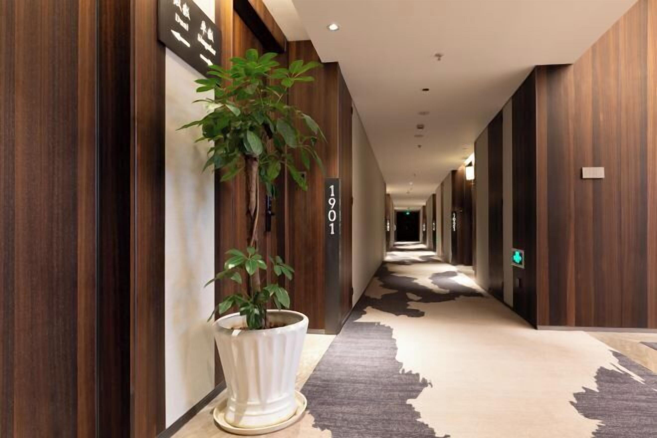 Un couloir aux murs lambrés, une plante en pot et un tapis orné d’un motif à motifs de vaches.