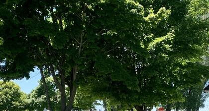 Adorable, â Beach View Cottageâ Lake Michigan views! Best location!