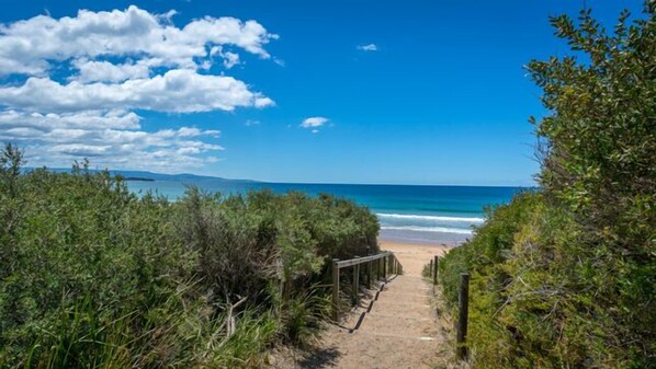 Playa en los alrededores y camastros 