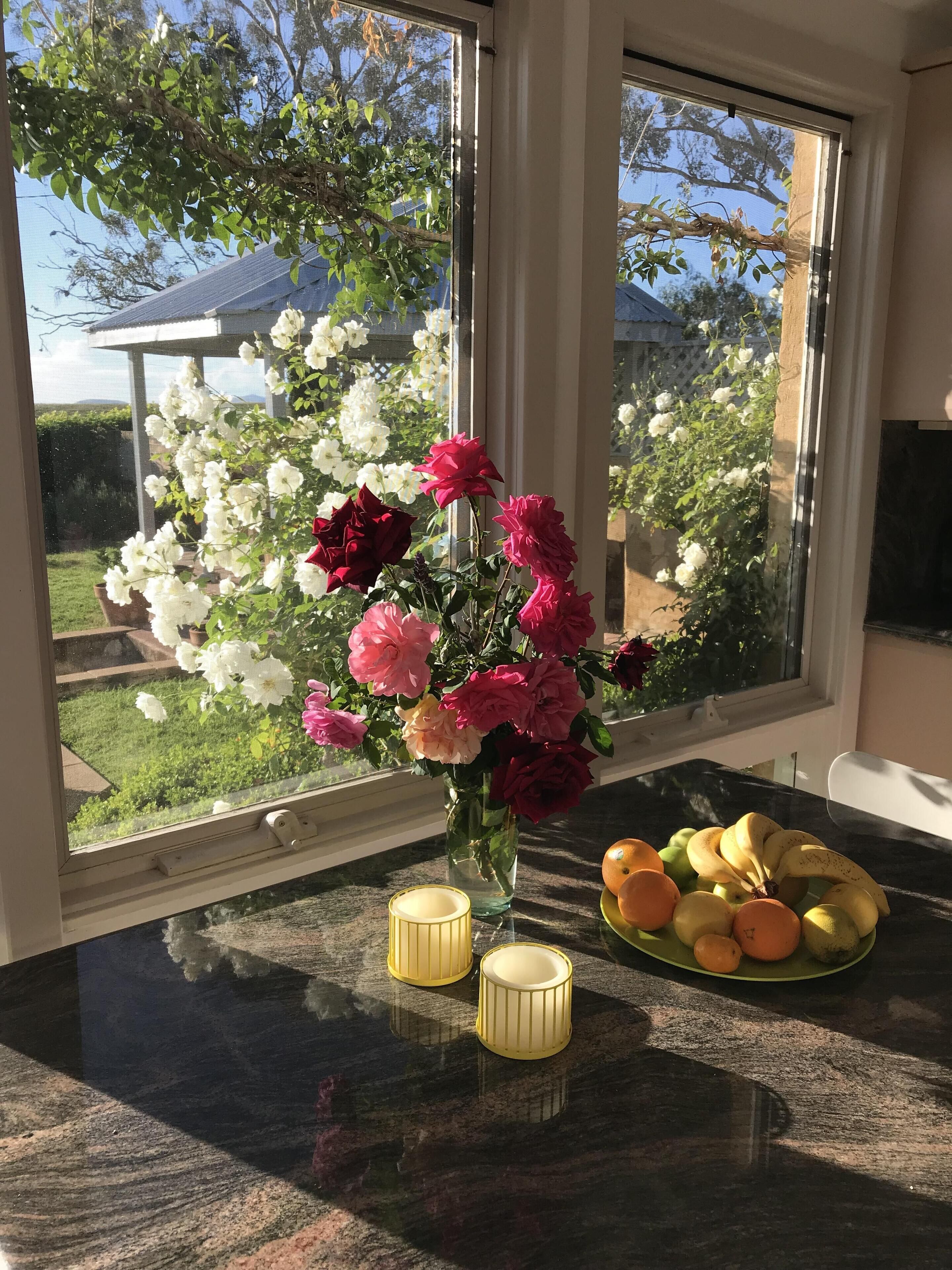 Milla's Vineyard Estate private property centrally located in the Hunter Valley — image 5
