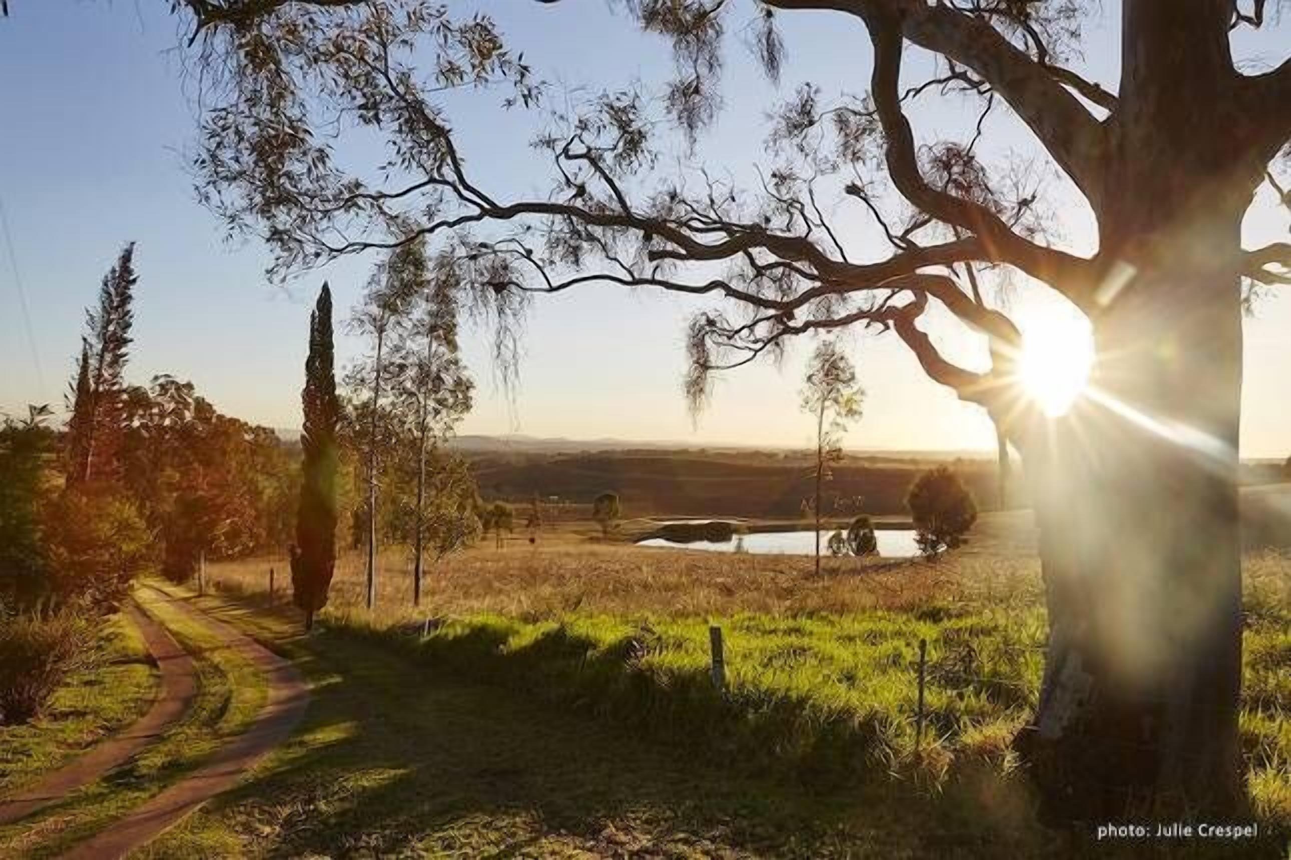 Milla's Vineyard Estate private property centrally located in the Hunter Valley — image 29