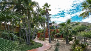 Un jardin aménagé avec des palmiers, un chemin sinueux et un bâtiment à la façade rouge.