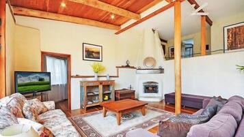 TV, fireplace, DVD player, books
