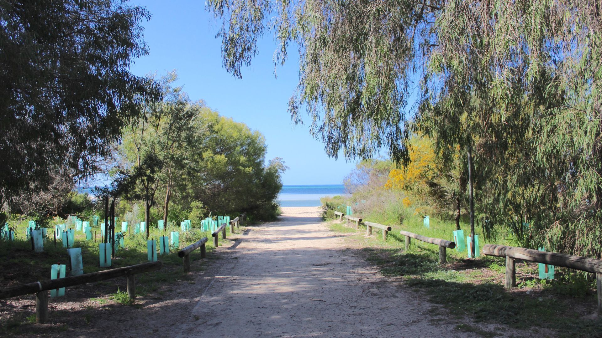 Ein unbefestigter Weg führt zu einem Strand, gesäumt von Bäumen und Holzzäunen.