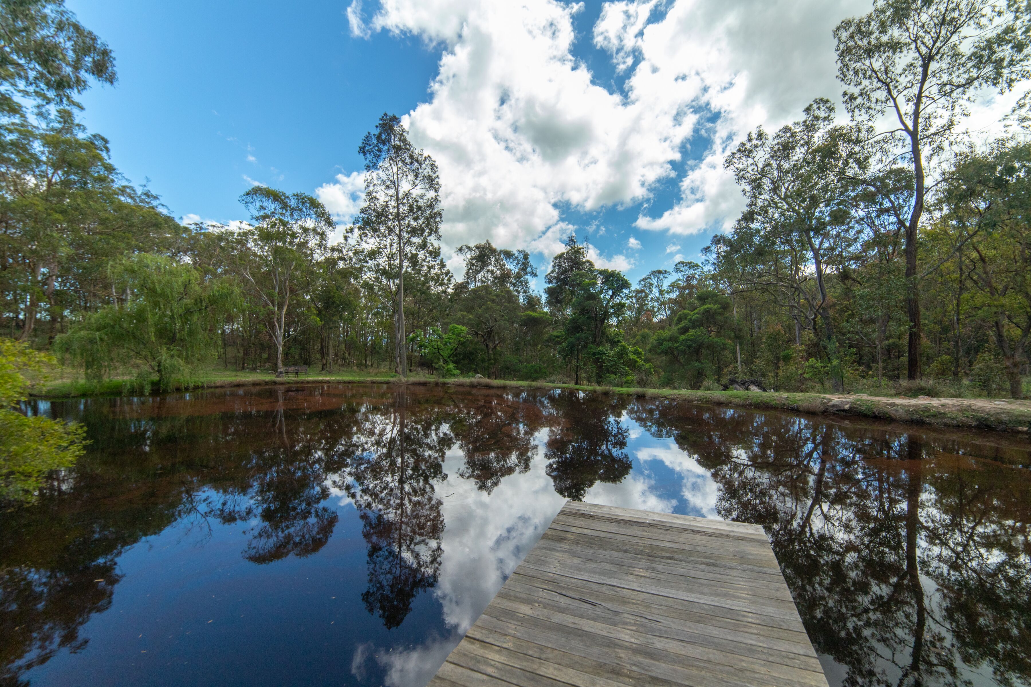 Jamevin Mountain retreat - Hidden Gem Perfect for Families & Large Groups  — image 4