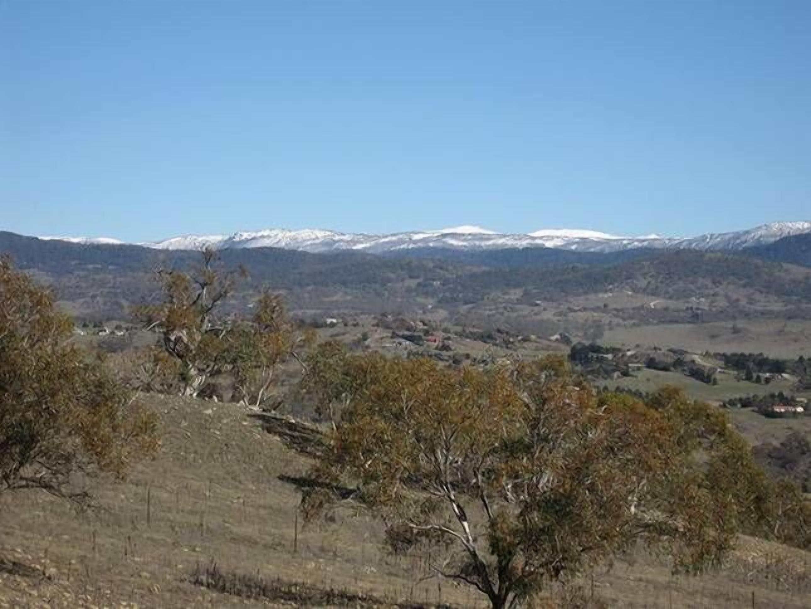 Bush Grove on the snowy river — image 5
