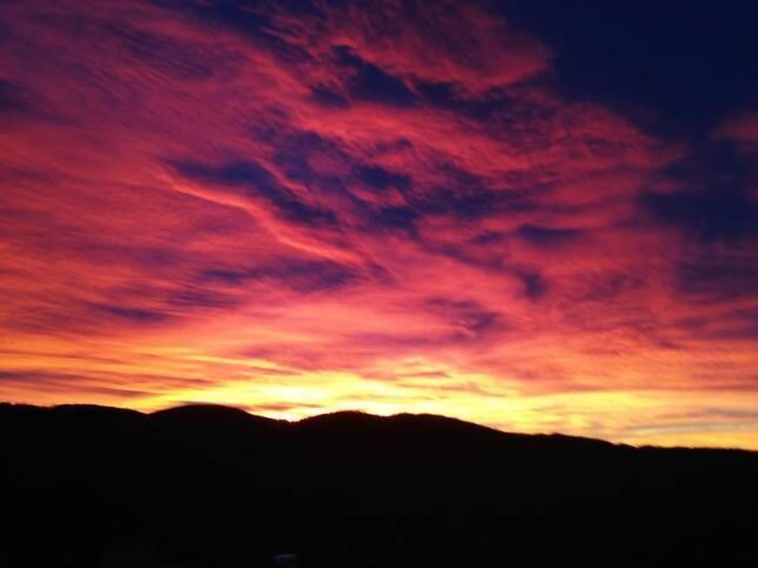 Bush Grove on the snowy river — image 7