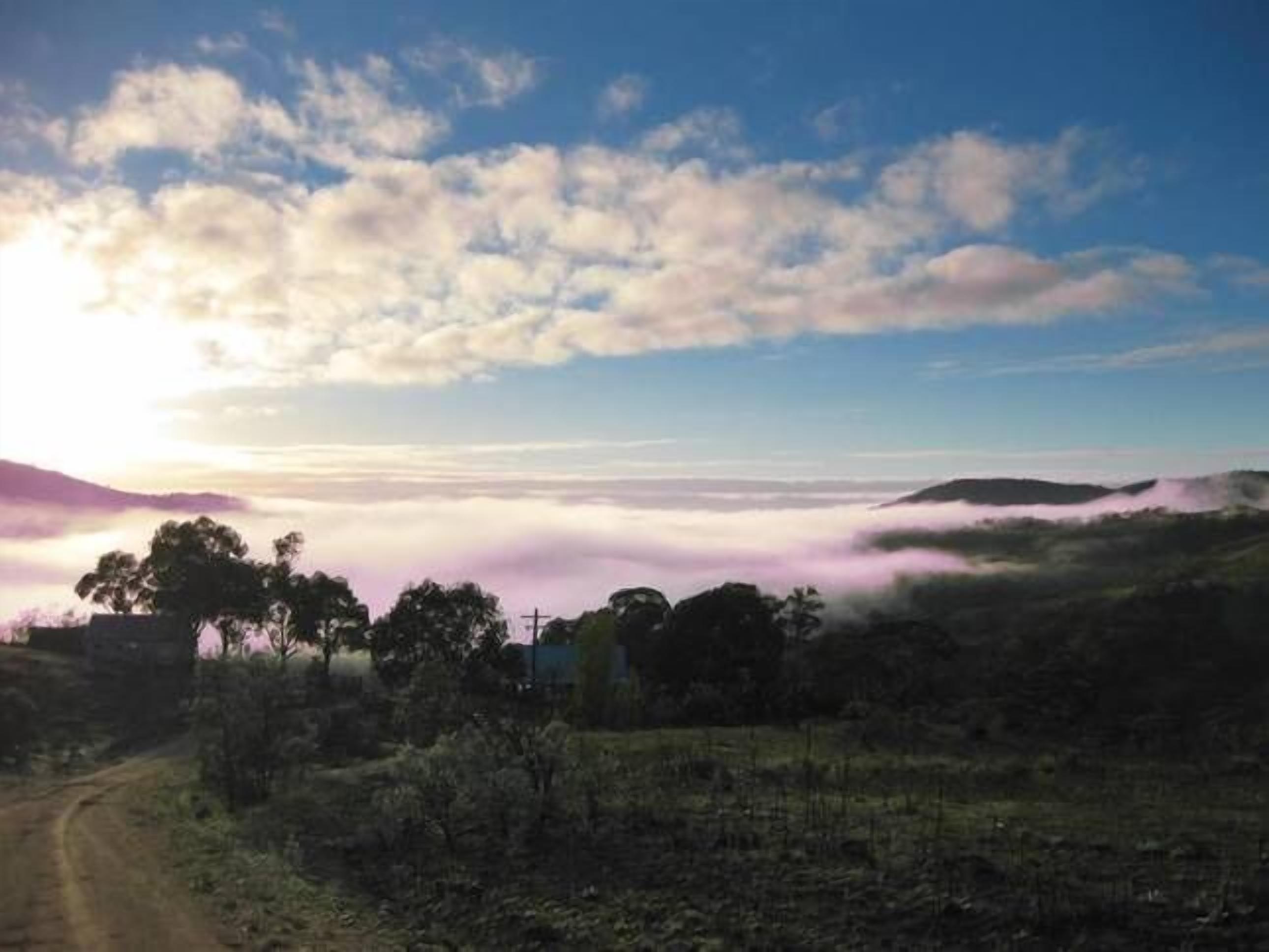 Bush Grove on the snowy river — image 3