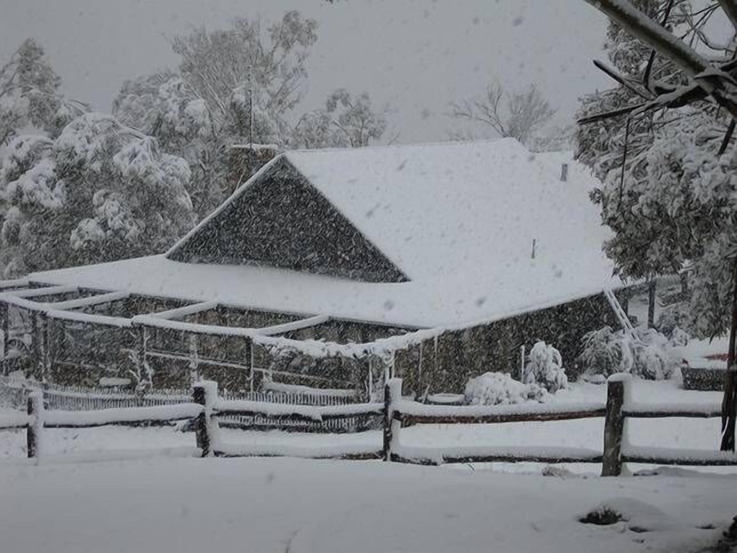 Bush Grove on the snowy river — image 26