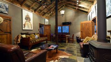 TV, fireplace, DVD player, books