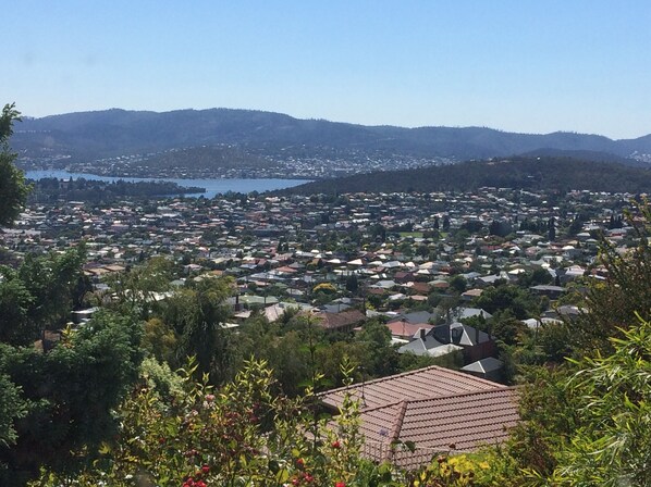 A residential area with houses and a lake in the background.