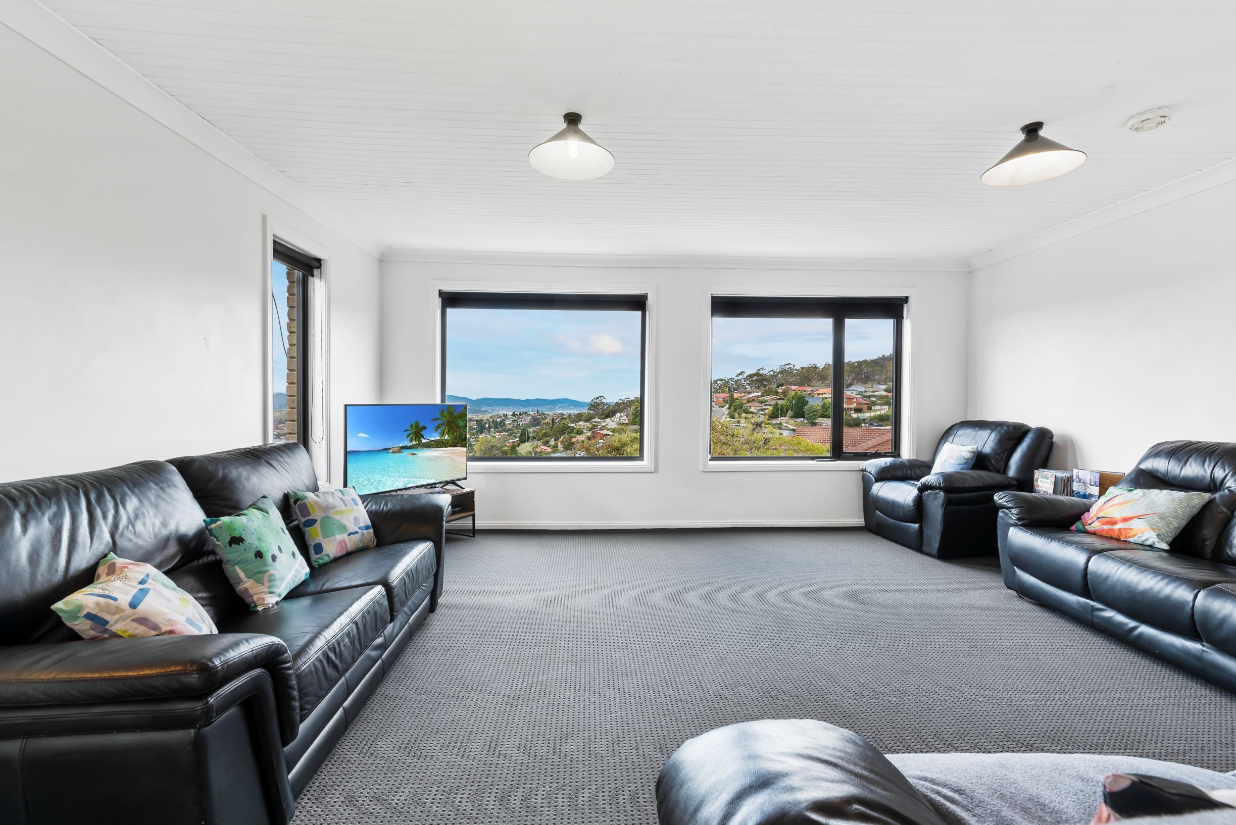 Smart TV, video games, Netflix, DVD player