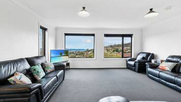 Smart TV, video games, Netflix, DVD player