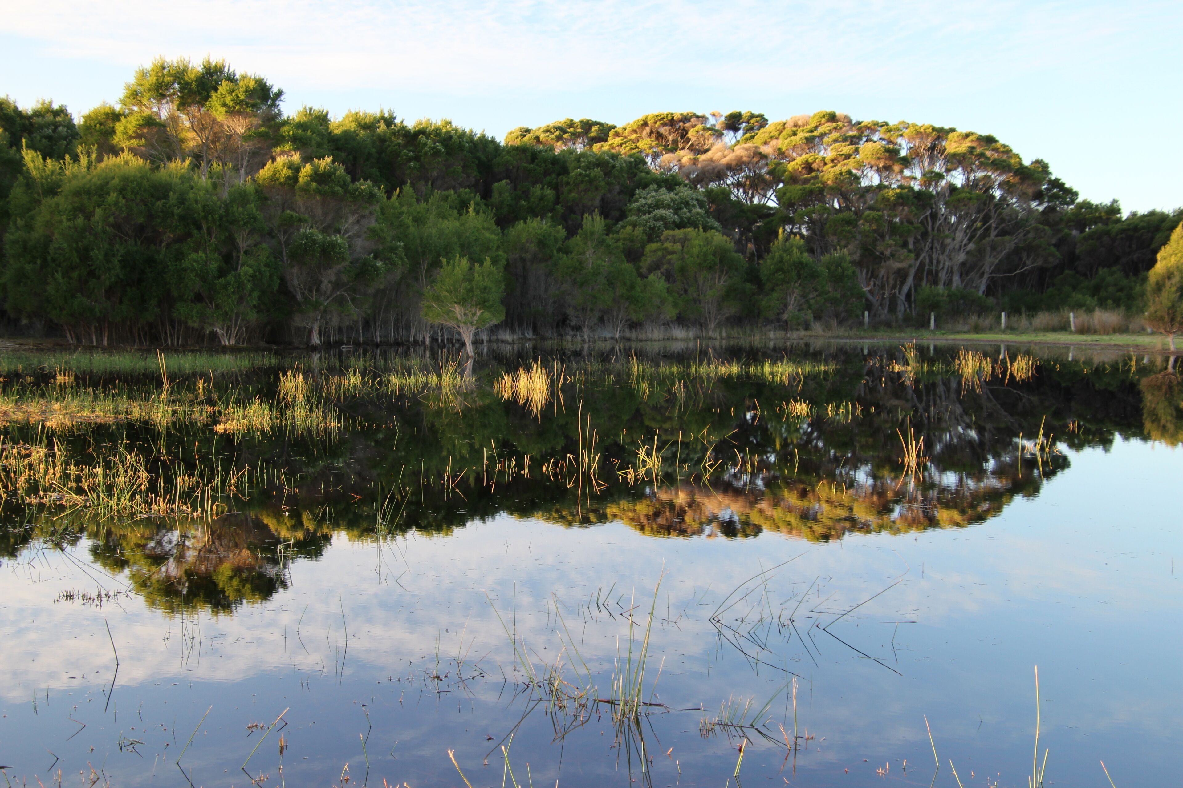 Sapphire Chalets #2 Augusta — image 24