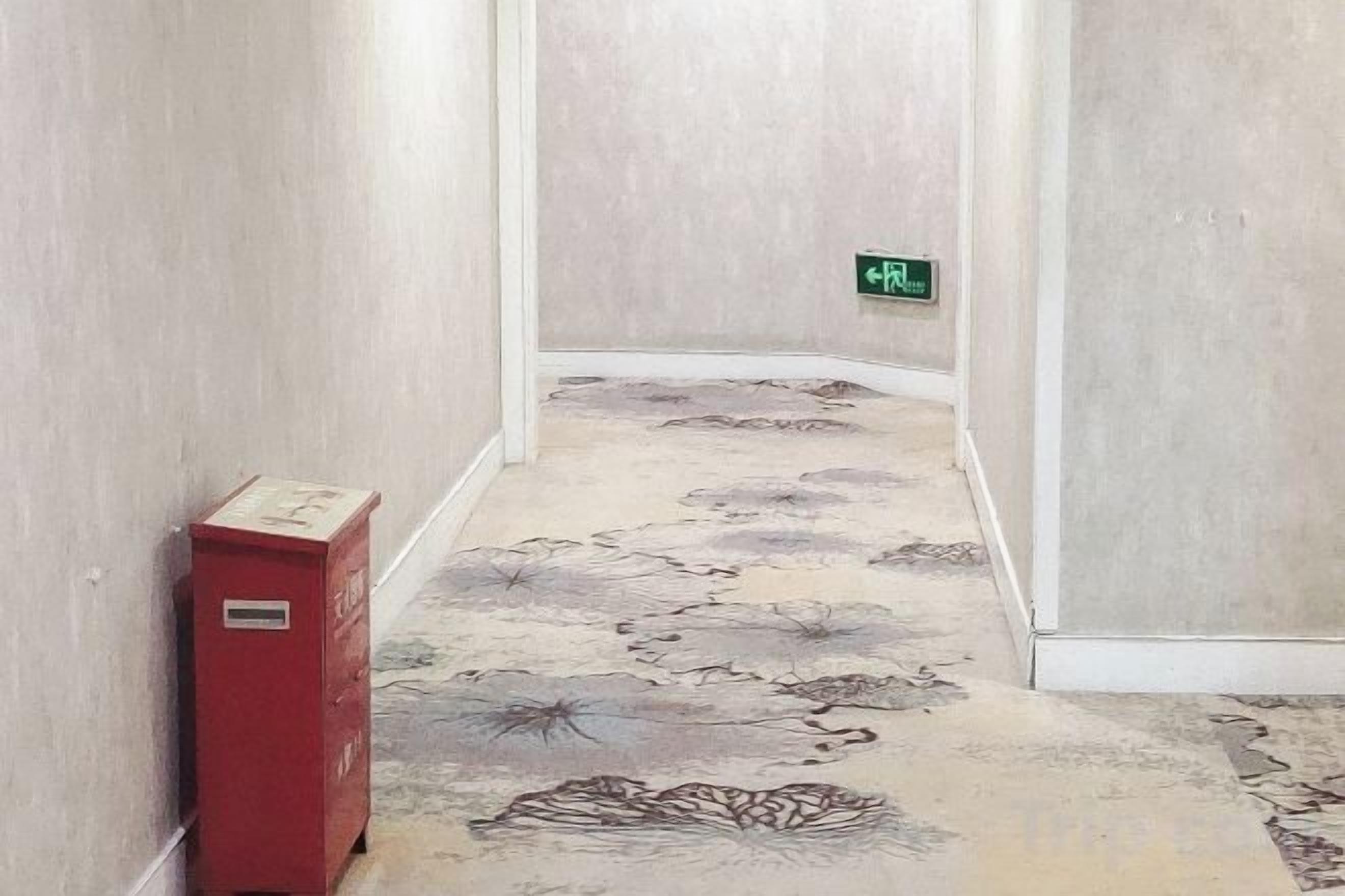A narrow hallway with patterned carpet, a red fire alarm box, and a green exit sign.