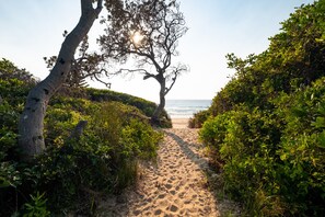 A sandy path leading to a beach, surrounded by dense greenery and trees. - Yurt By Sea accommodation Mullaway (Mullaway)