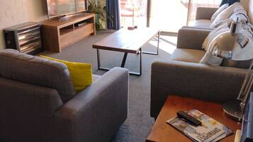 Smart TV, Netflix, reproductor de DVD y libros