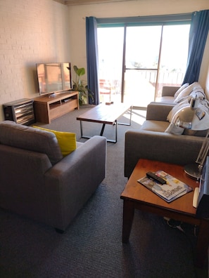 Smart TV, Netflix, reproductor de DVD y libros