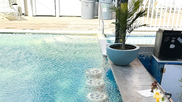 A swimming pool with floating ice rings, a trash bin, and a potted plant.