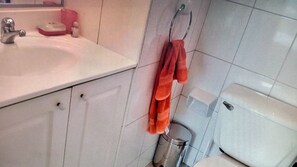 Bathroom - DEPARTAMENTO 1 DORMITORIO FULL  MÀS FUTOS PARA VISITAS (Santiago)
