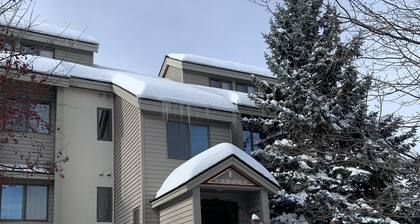 REDUCED RATES FOR MARCH! Ski In - Ski Out Condo in OberTal 'F' Building!