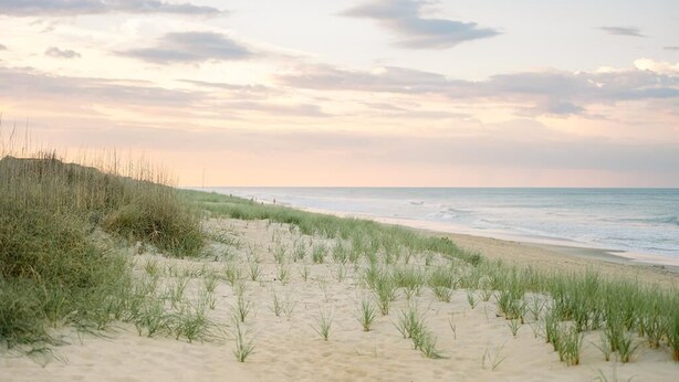 A beach with sand dunes and grass, and the ocean in the background.