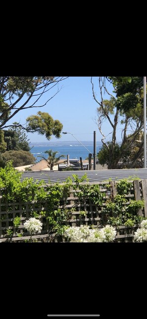 Property grounds - Portsea - Bay views secluded homely property:2 minutes walk Portsea Hotel Beach (Portsea)