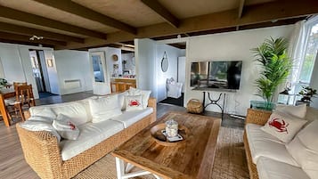 Smart TV, chimenea, Netflix y reproductor de DVD