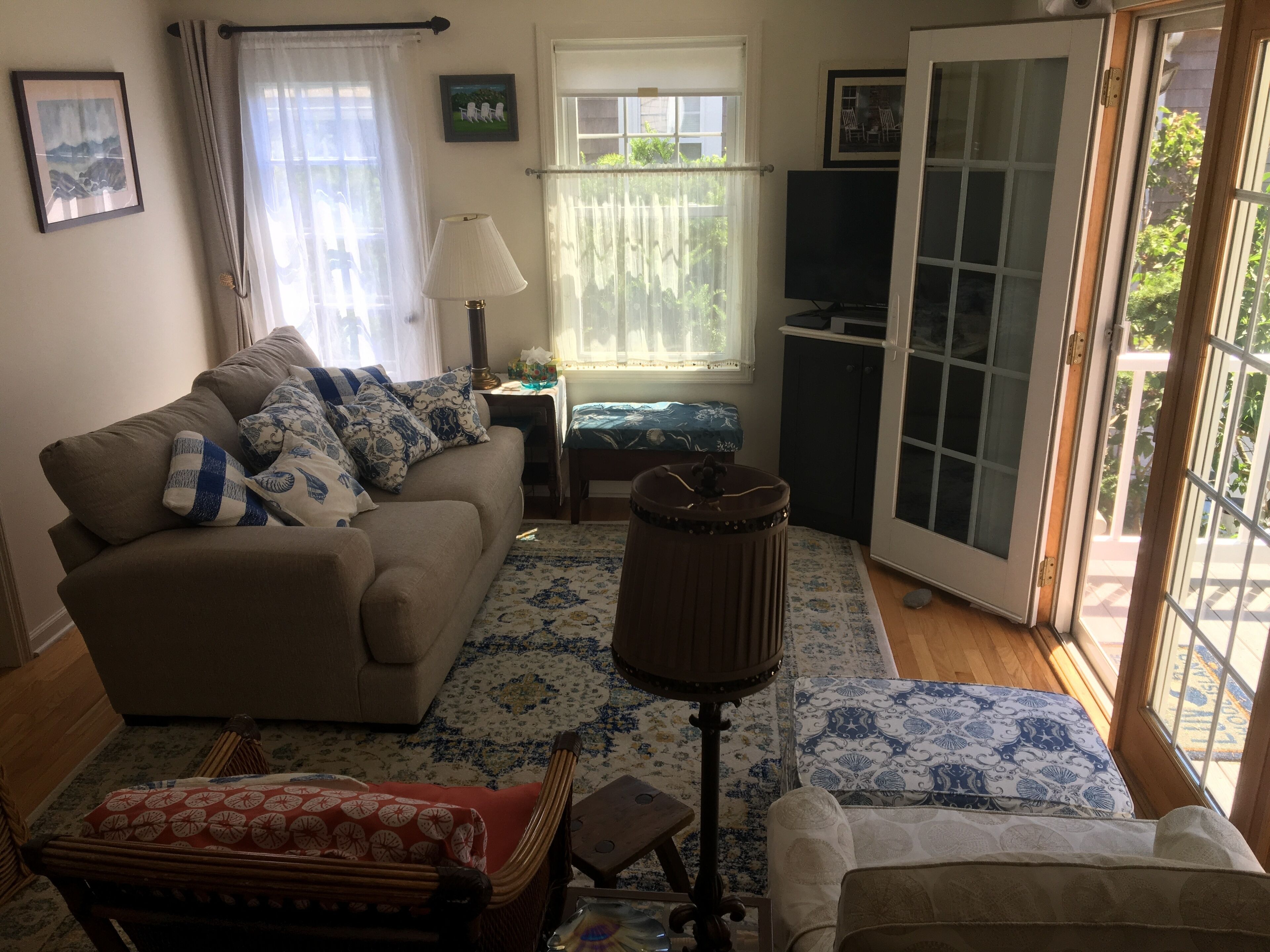 Smart TV, DVD player, books