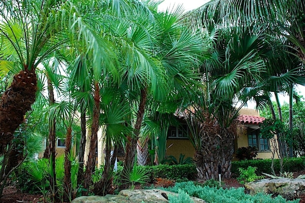 Front of Compound