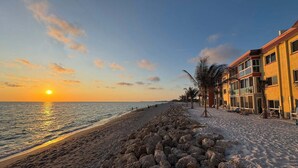 A beach with a rocky shoreline, a row of palm trees, and a building with multiple windows and balconies. - Siesta Key - Gulf-Front Retreat - 2 BR – Free Boat Docks - Upscale (Sarasota)