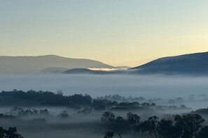 Miscellaneous -  The Cottage: wildlife, cattle, vines, fresh air, peace, space and endless views (Yarra Junction)