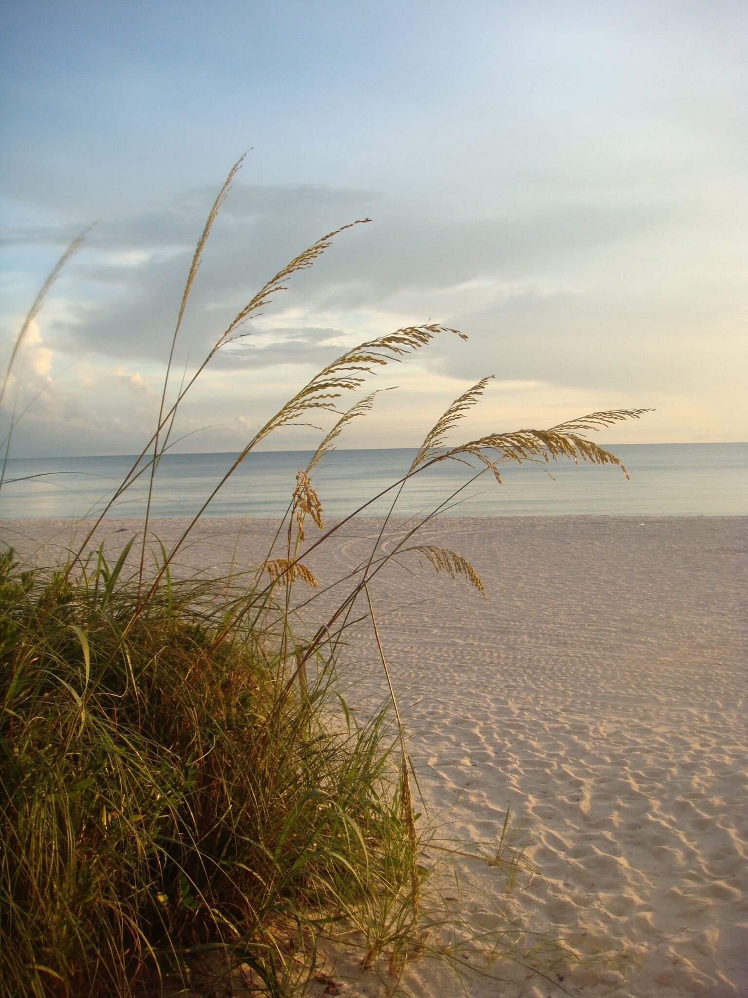Ein Strand mit Sand und Gras im Vordergrund.