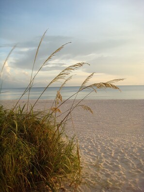 In Strandnähe, Liegestühle, Sonnenschirme, Strandtücher