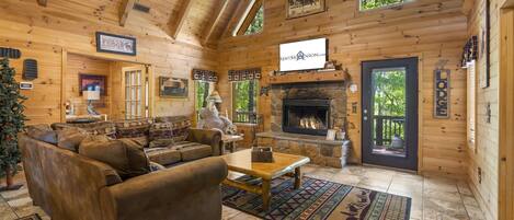 テレビ、暖炉、DVD プレーヤー