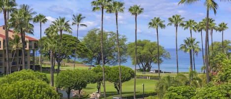 Un complexe hôtelier doté de palmiers, d’un terrain de golf et offrant une vue sur l’océan.
