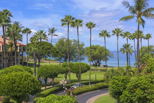 A resort with palm trees, a golf course, and a view of the ocean.