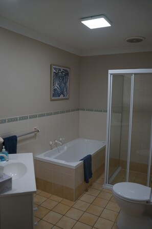 Bathtub, hair dryer, towels, toilet paper