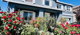 MODERNES NEUERES HAUS IN DER NÄHE VON NAPA WINE COUNTRY, SACRAMENTO & SAN FRANCISCO