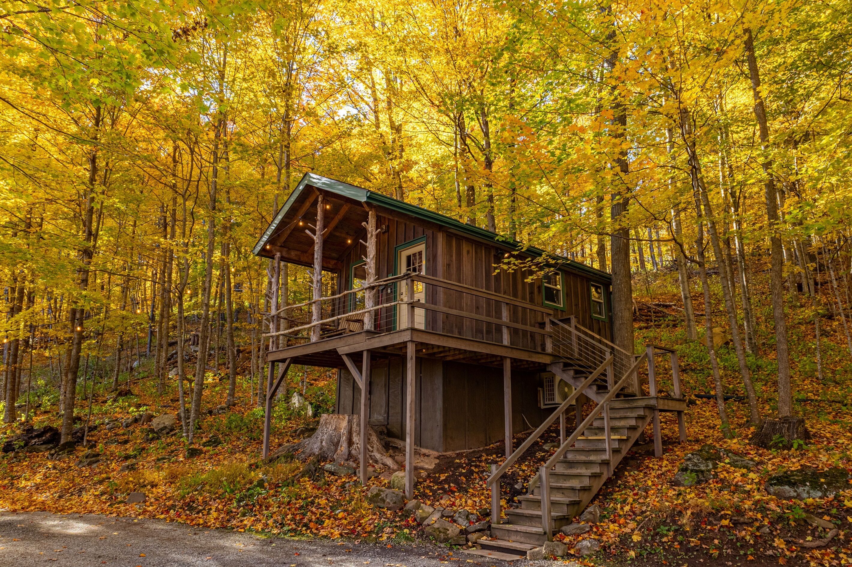 Treehouse Cabin in the heart of the best of WV!